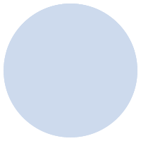 R1A1